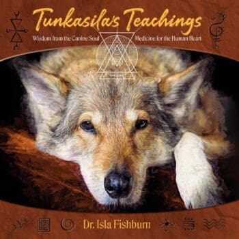 Tunkasila's Teachings (HB)