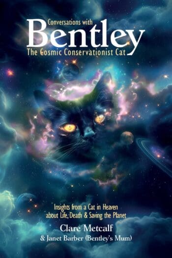Conversations with Bentley - The Cosmic Conservationist Cat