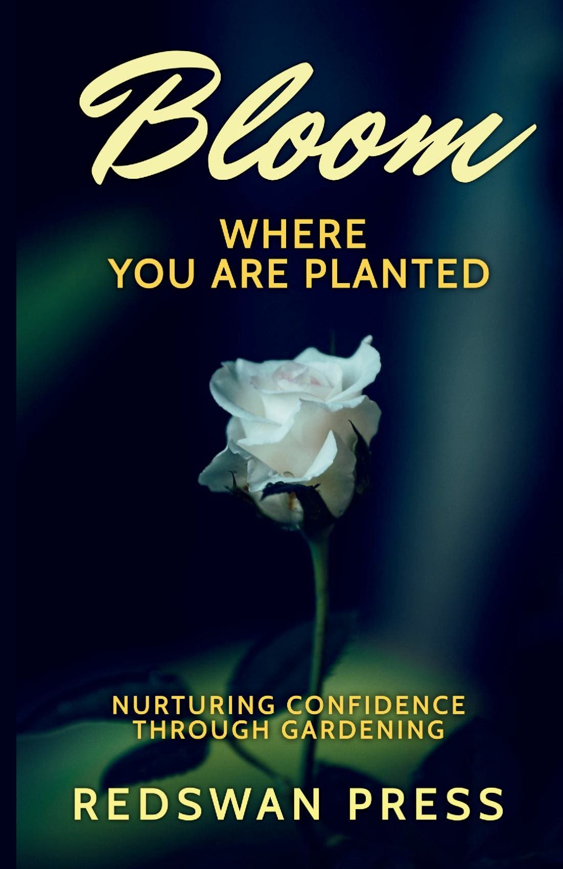 Bloom Where You Are Planted