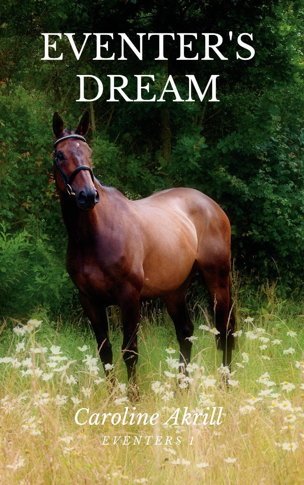 Eventer's Dream