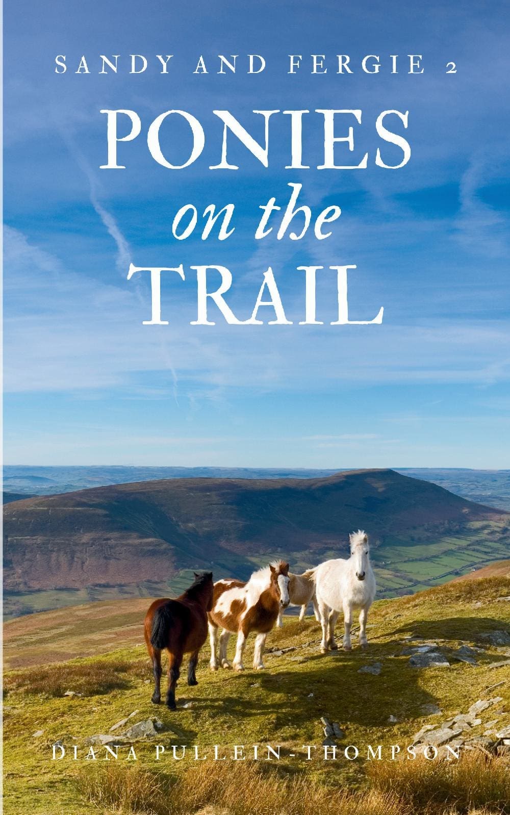 Ponies on the Trail