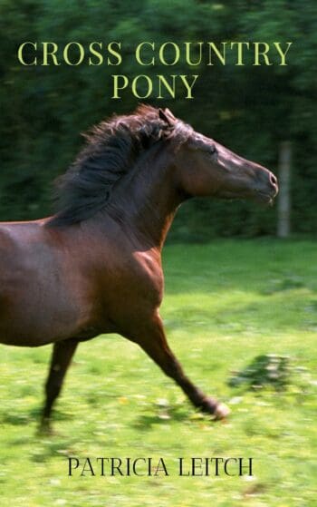 Cross Country Pony