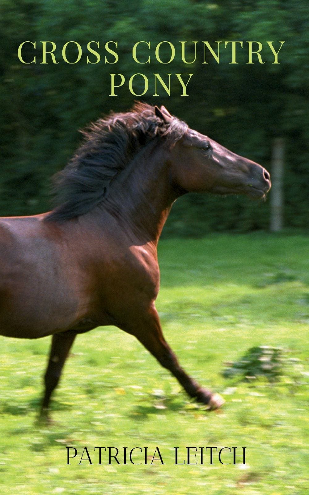 Cross Country Pony