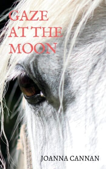 Gaze at the Moon