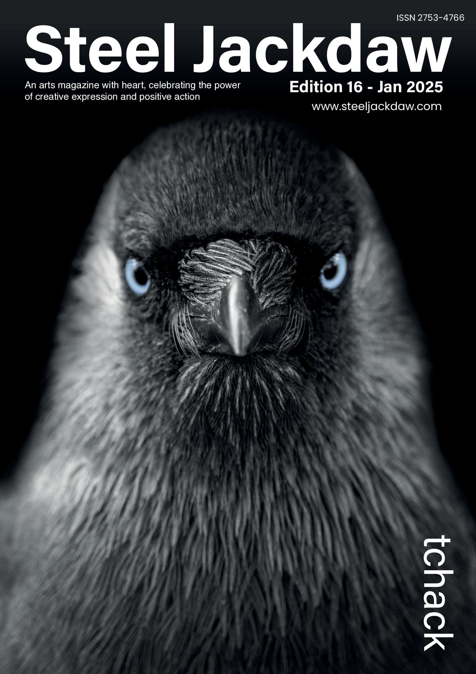 Steel Jackdaw Edition 16