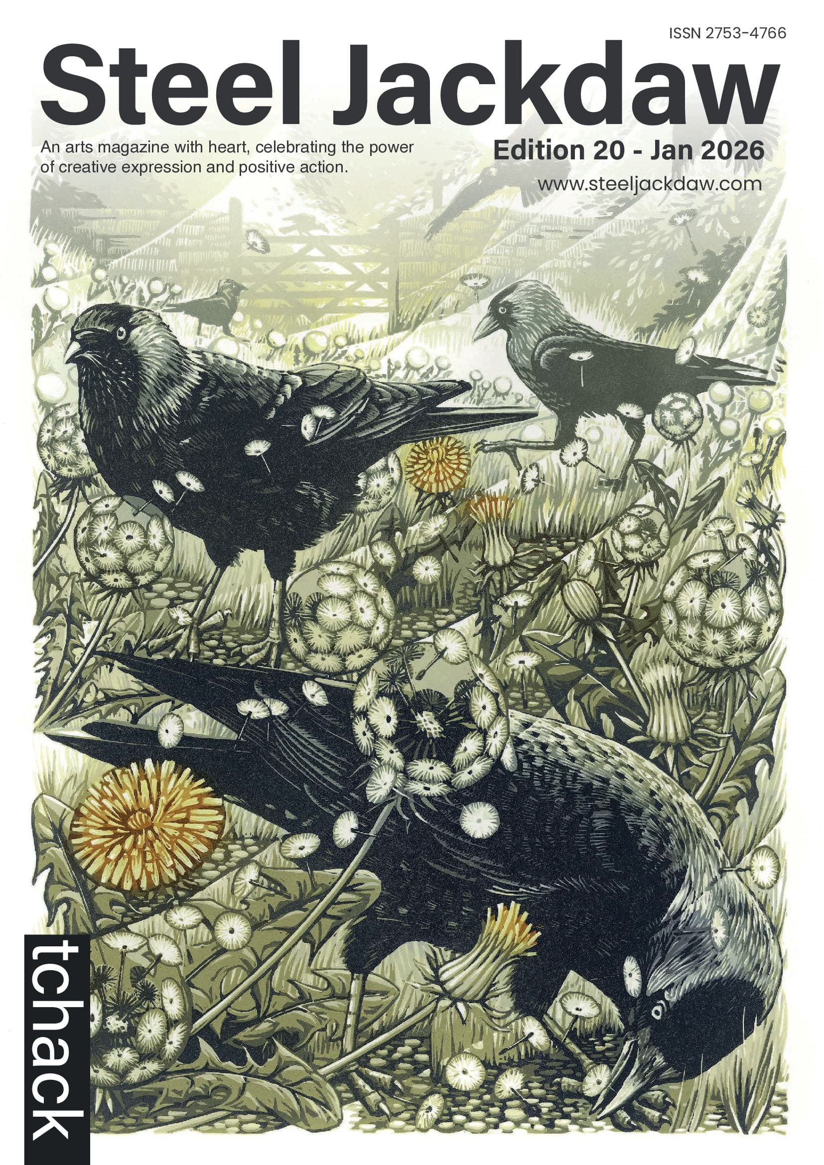 Steel Jackdaw Edition 20