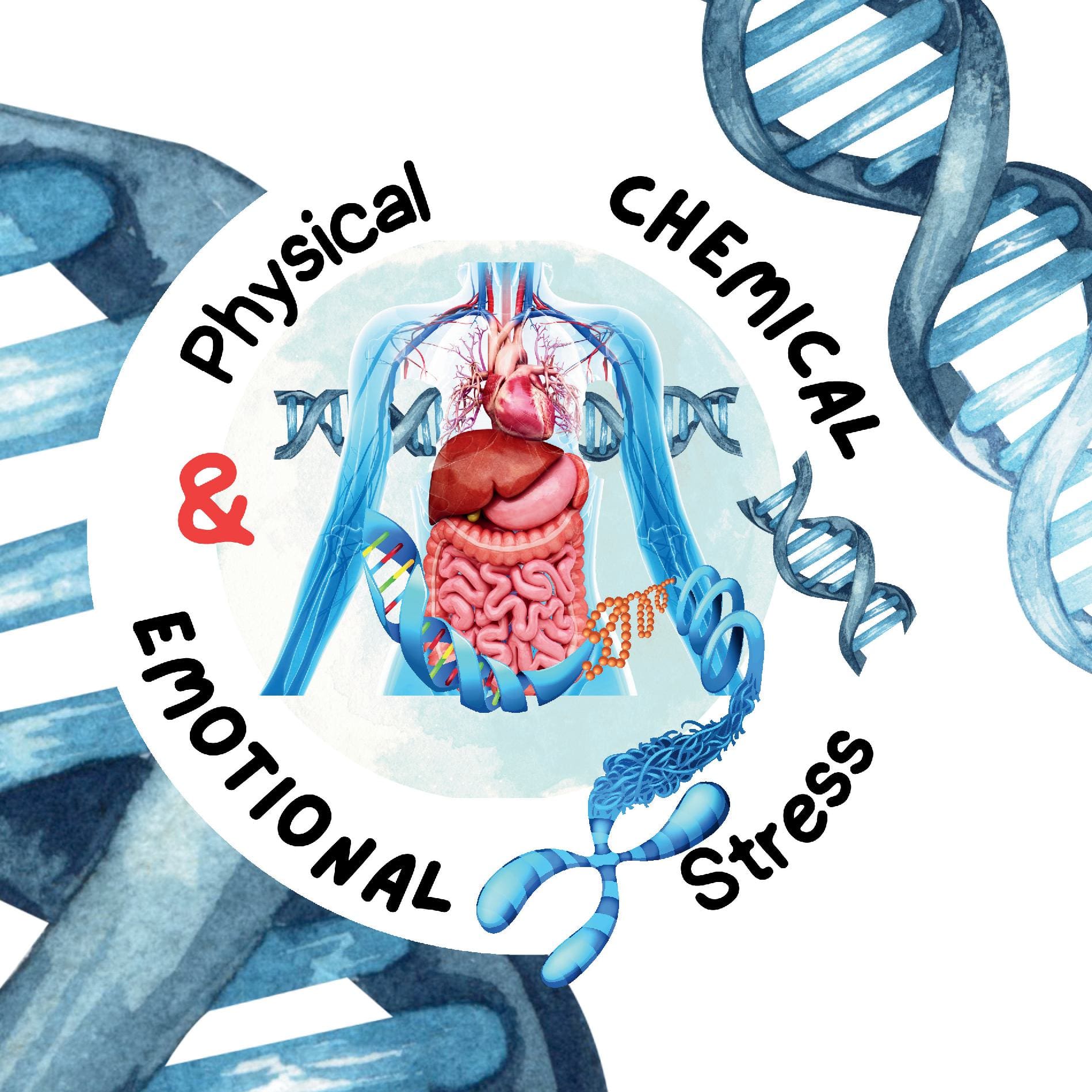 Physical Chemical & Emotional Stress
