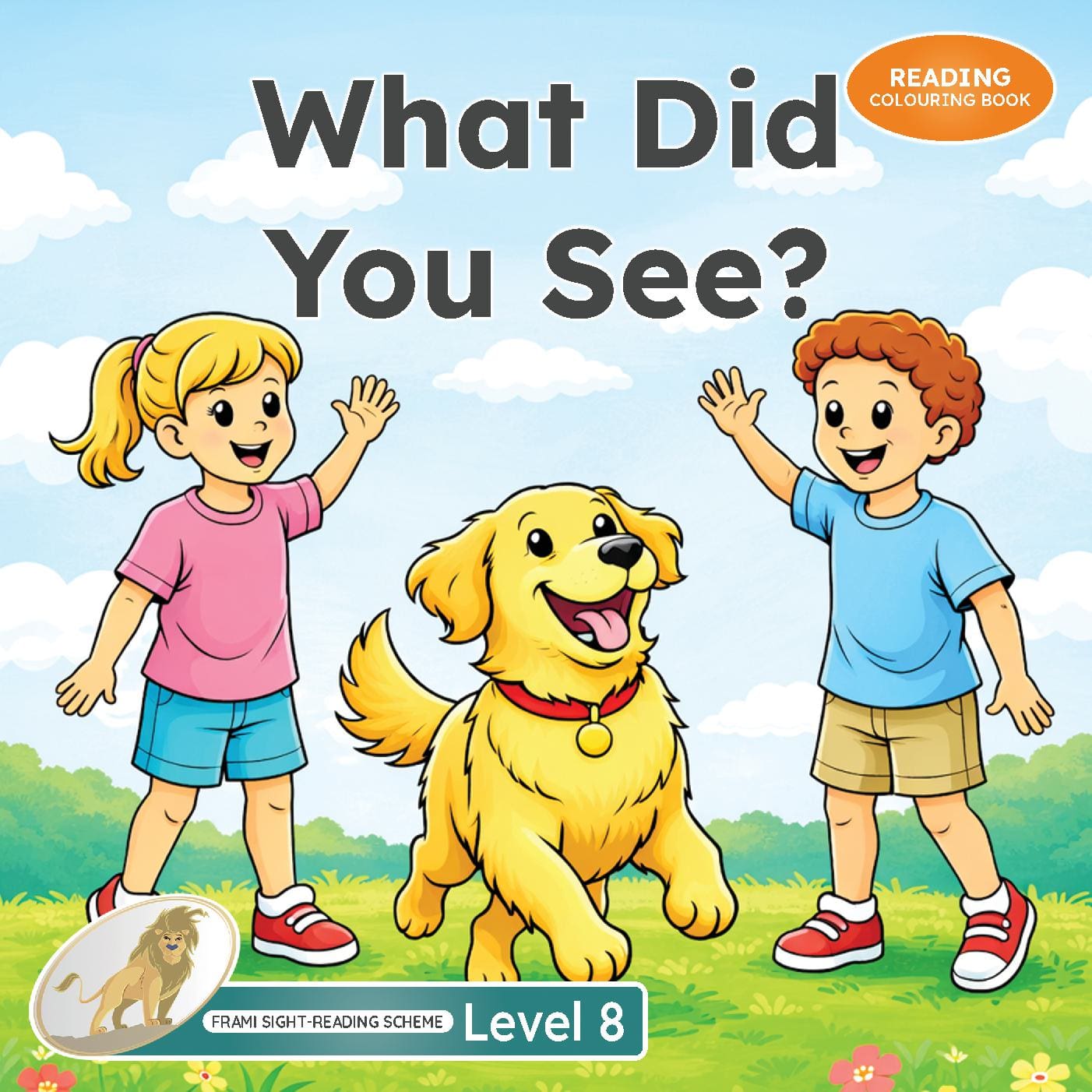 What Did You See? (Frami Sight‑Reading Scheme: Level 8)