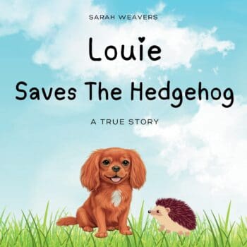 Louie Saves The Hedgehog