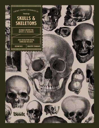 Skulls & Skeletons
