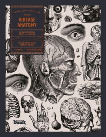 Vintage Anatomy