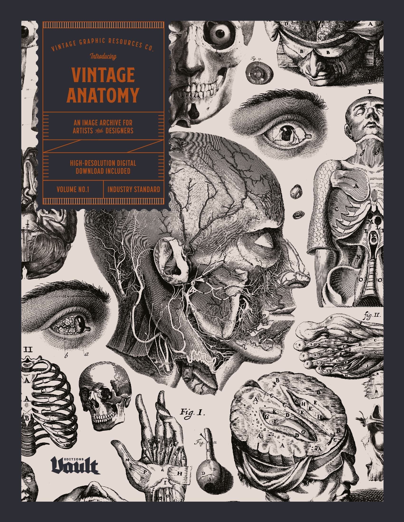 Vintage Anatomy