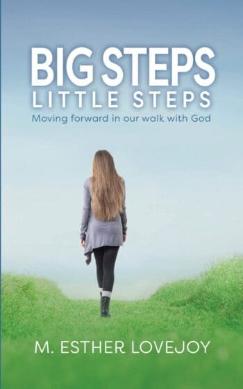 Big Steps, Little Steps