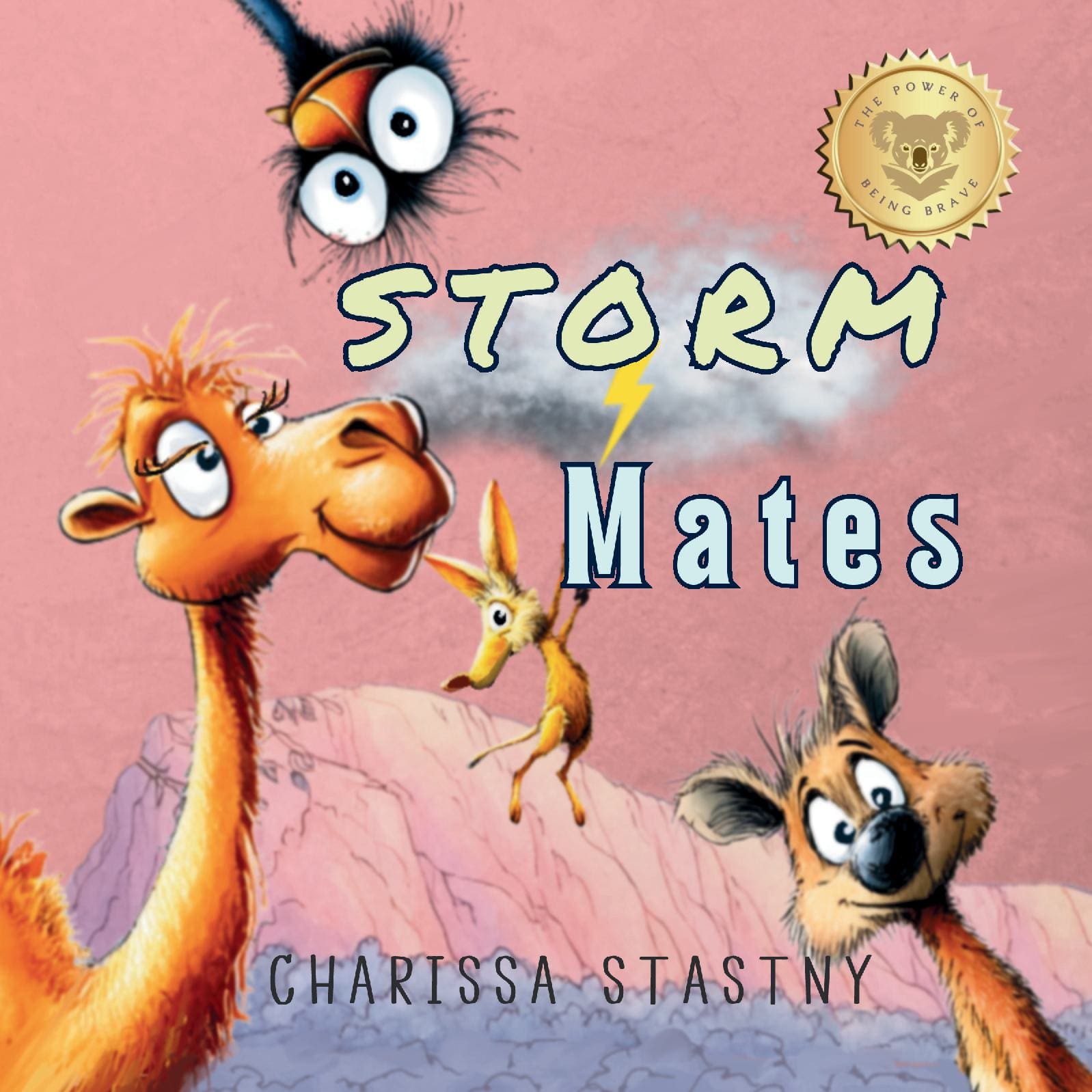 Storm Mates