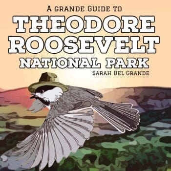 Theodore Roosevelt National Park