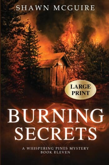 Burning Secrets (large print)