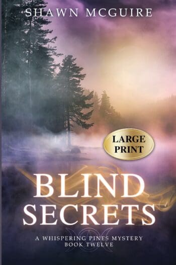 Blind Secrets (large print)