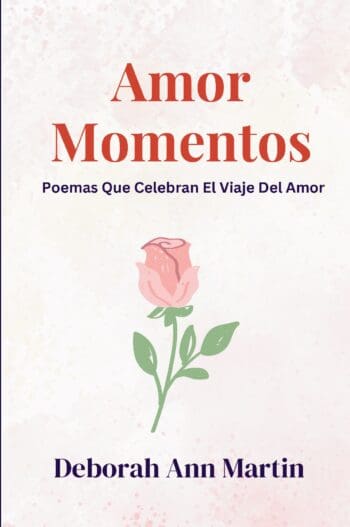 Amor Momentos