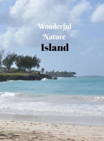Wonderful Nature Island
