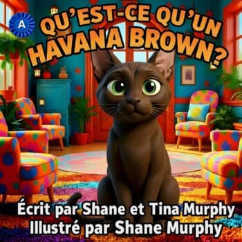 Qu'est-ce qu'un Havana Brown ?