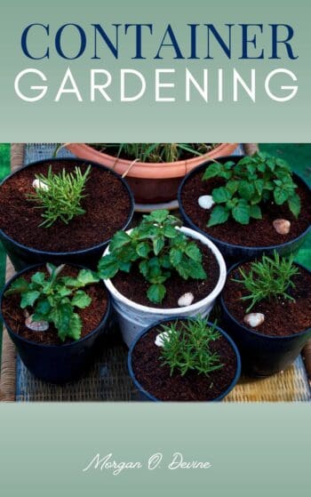 Container Gardening::