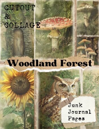 Cutout and Collage Woodland Forest Scrapbook Paper