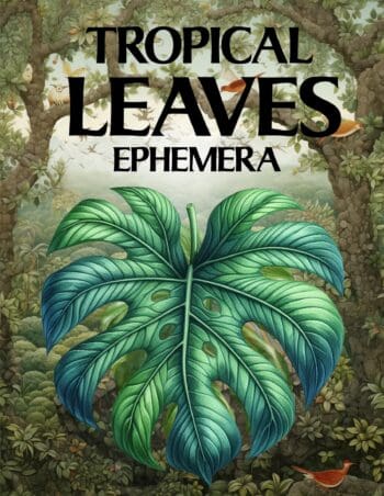 Tropical Leaves Ephemera Book