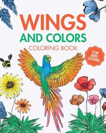 Wings and Colors