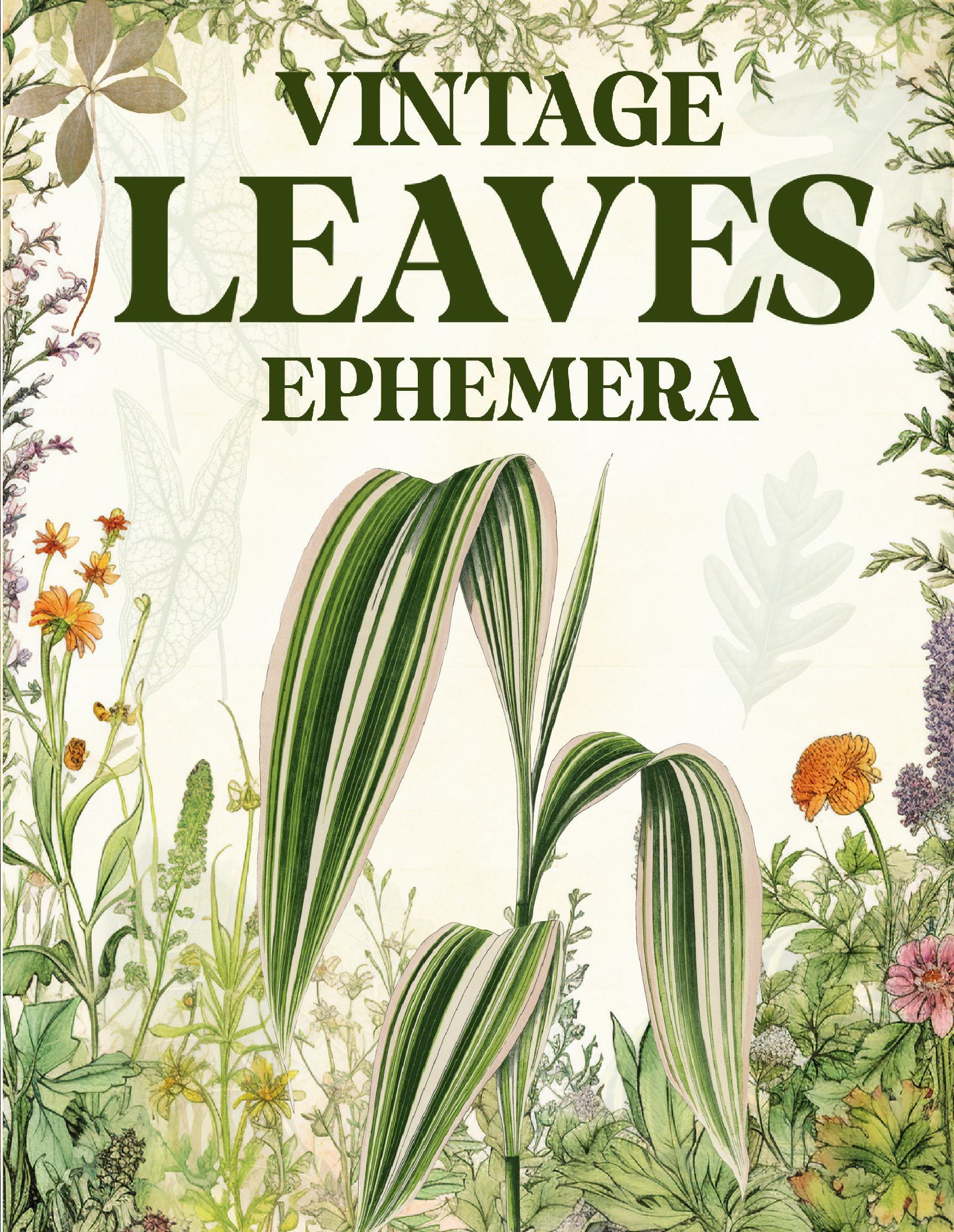 Vintage Leaves Ephemera Book