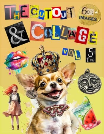 The Cut Out And Collage Activity Book Extraordinary Things Vol.5