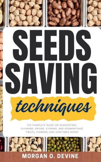 Seeds Saving Techniques: