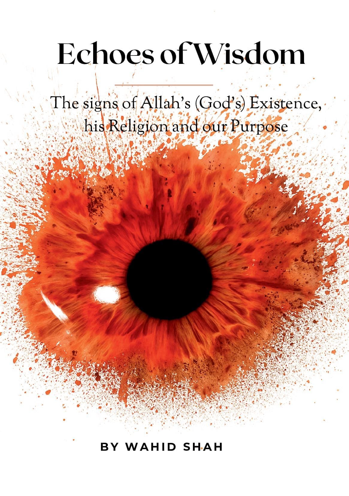 Echoes of Wisdom
