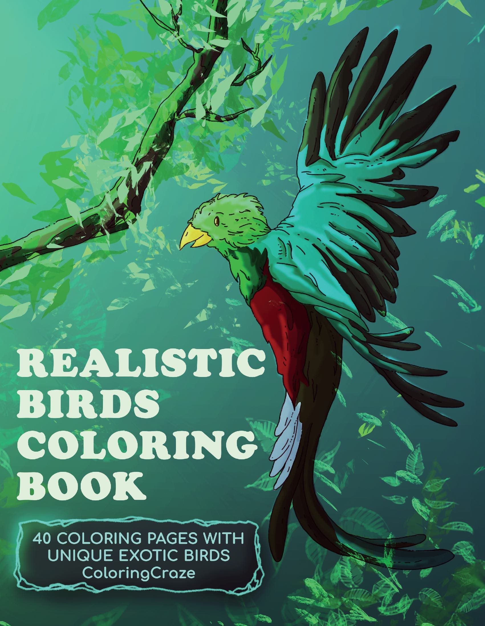 Realistic Birds Coloring Book