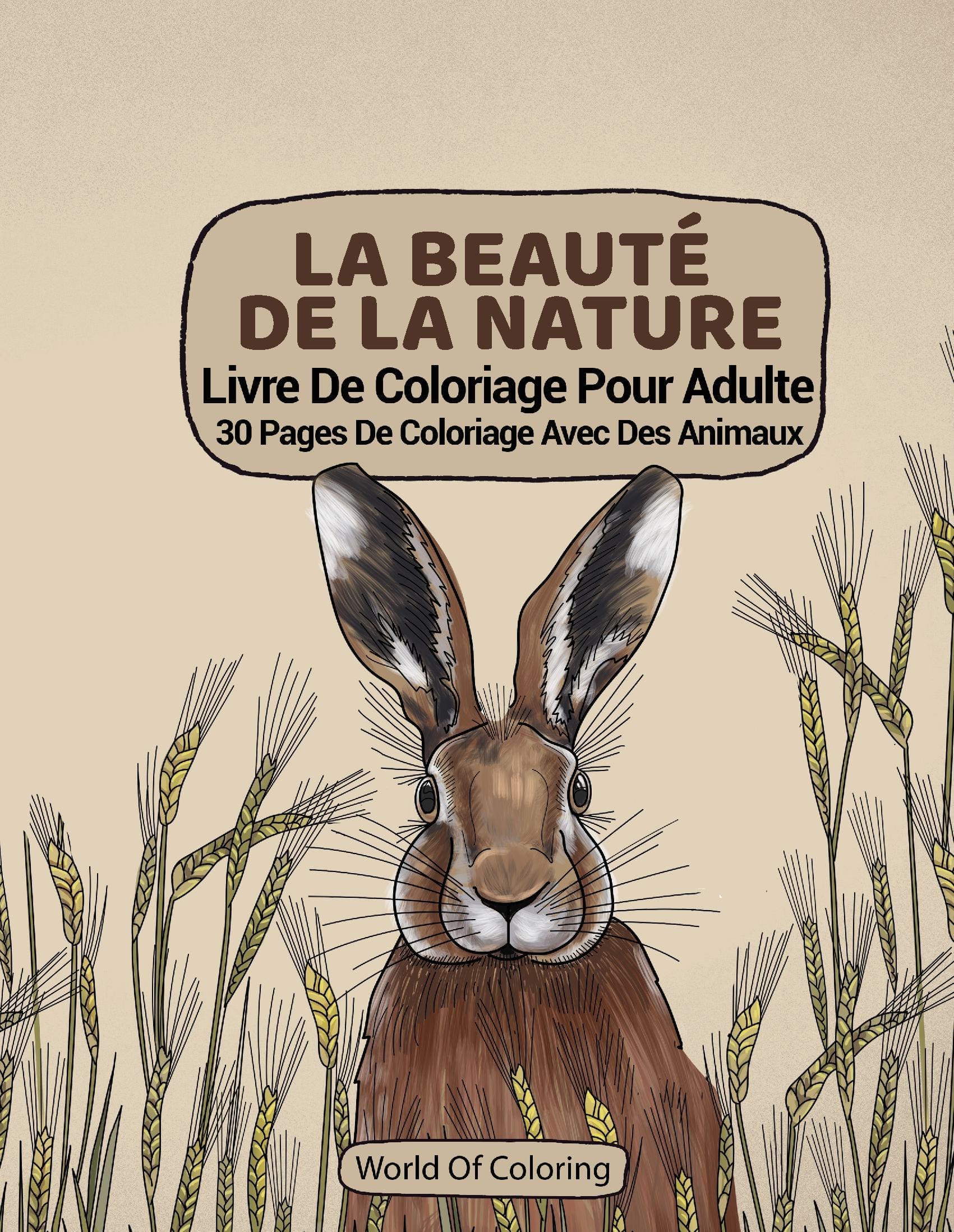 Livre De Coloriage Pour Adulte