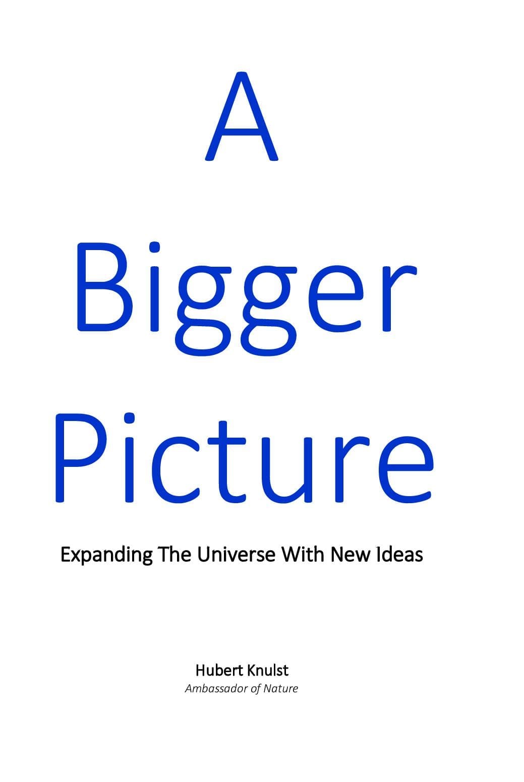 A Bigger Picture