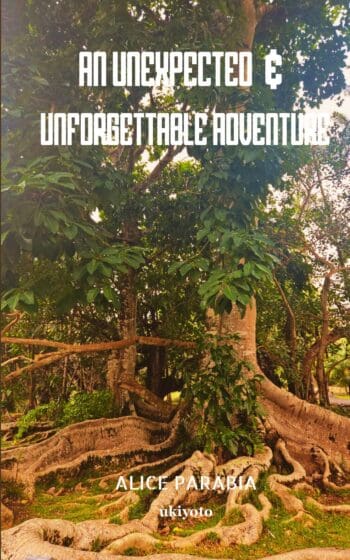 An unexpected & unforgettable adventure