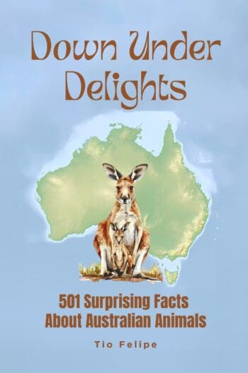 Down Under Delights