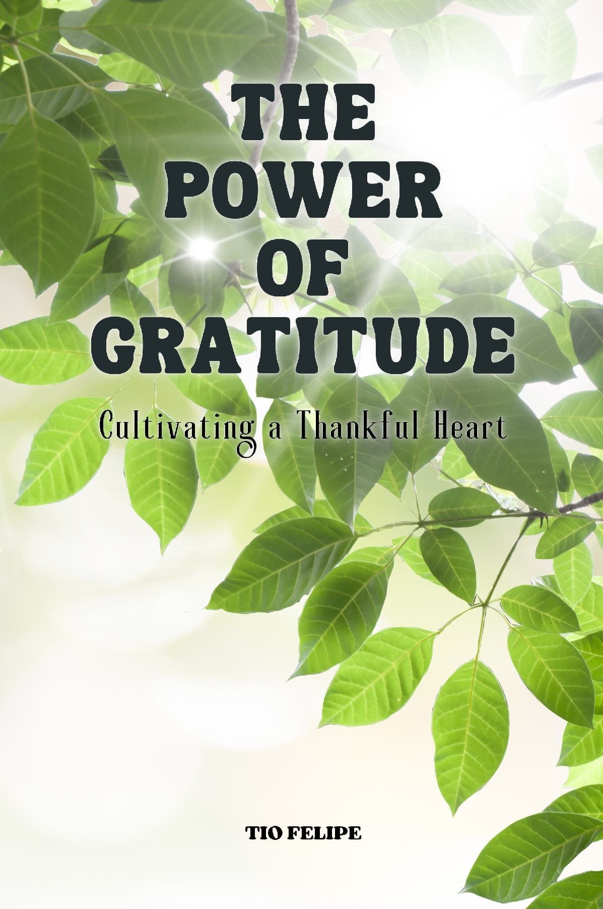 The Power of Gratitude