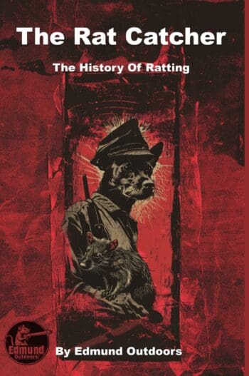 The Rat Catcher