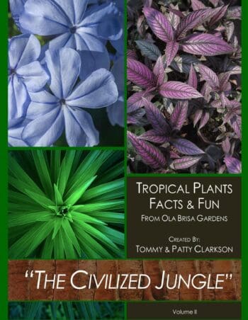 The Civilized Jungle Volume II