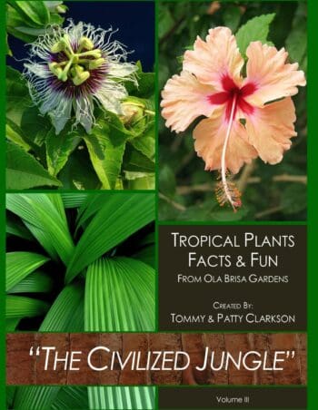 The Civilized Jungle Volume III