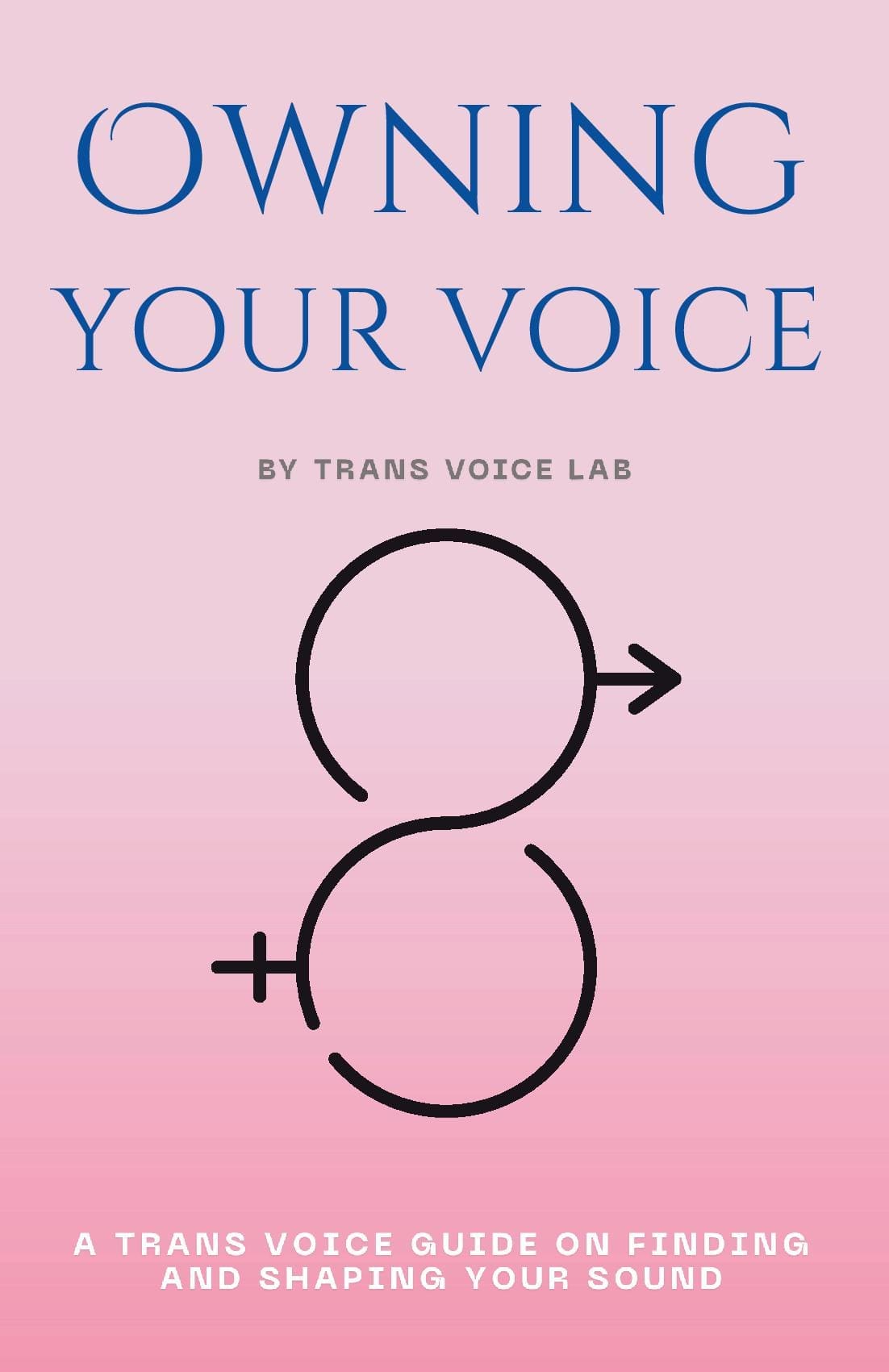 Owning Your Voice