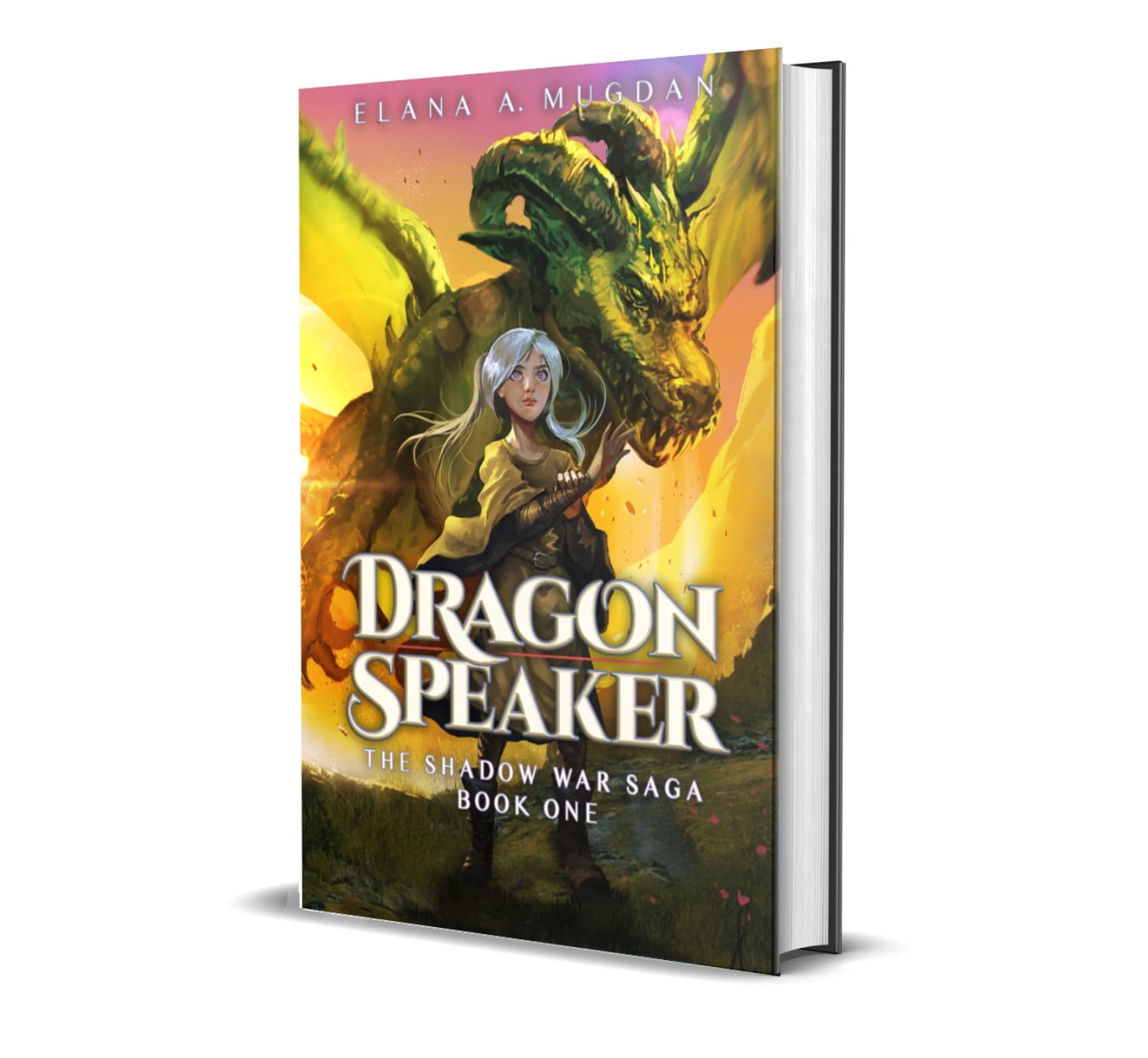 Dragon Speaker