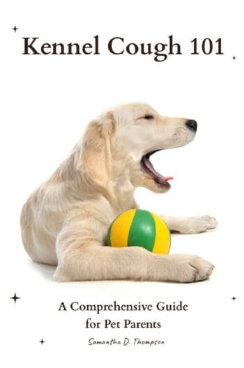 Kennel Cough 101