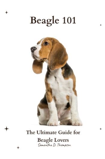 Beagle 101