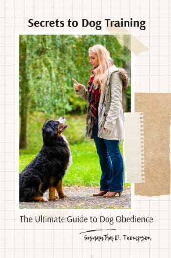 Secrets to Dog Training