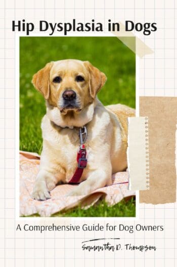 Hip Dysplasia in Dogs