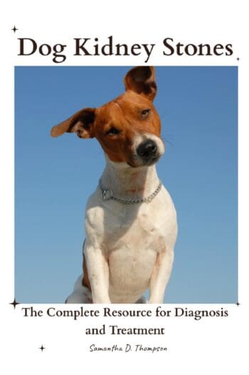 Dog Kidney Stones