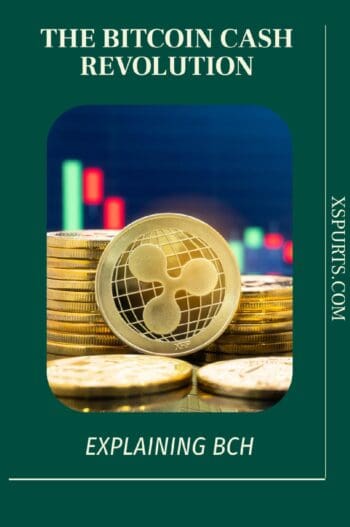 The Bitcoin Cash Revolution