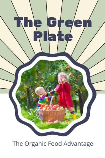 The Green Plate
